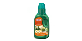 Substral tápoldat kaktuszfélék és pozsgások számára 250 ml