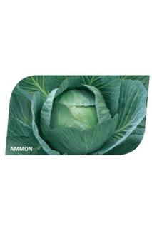 AMMON 2500 szem