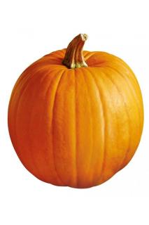 Aspen F1 Halloween tök vetőmag 100 szem