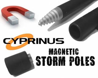 Cyprinus Spiral Slim Mag Stick leszúró csavart 120cm