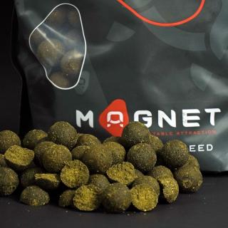 Magnet Carp Baits Plasma Squid Premium Bojli 2kg 24mm