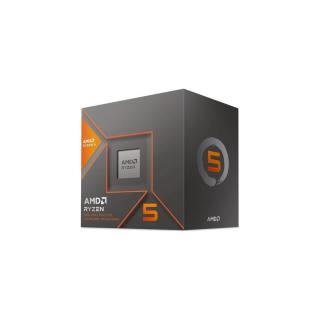 AMD Ryzen 5 8600G sAM5 BOX processzor (Wraith Stealth cooler)