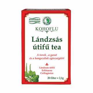 Dr.Chen Kohoflu Lándzsás útifű tea 20x2,1g