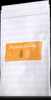 Energy, Maytenus Ilicifolia tea