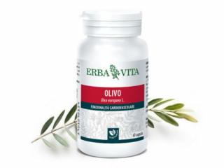 ErbaVita® Mikronizált Olajfalevél kapszula - 3 szabadalommal védett! Immunrendszer, allergia, asztma, vérnyomás.