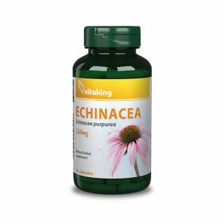 VITAKING ECHINACEA-BÍBOR KASVIRÁG