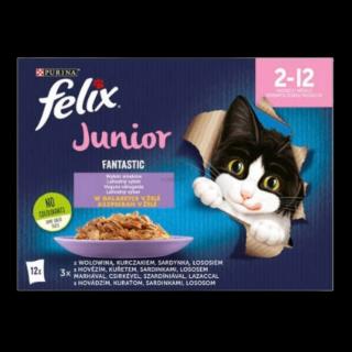 Felix Fantastic junior in jelly (12x85g)