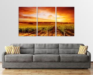 Tokaji Borvidék 3 Részes Vászonkép – 100cm X 55cm