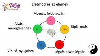 Hagyományos kínai orvoslás mini tanfolyam