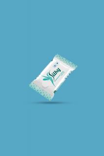 Silky Antibacterial 10 lapos visszazárható antibakteriális kendő