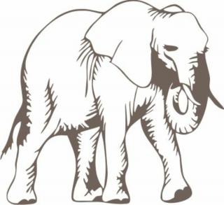 Falmatrica, faltetoválá - Elefánt 58 x 53