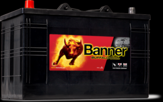 Banner Buffalo Bull 110Ah bal + akkumulátor 61048