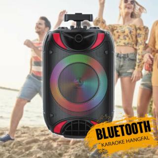 Karaoke bluetooth hangfal ZQS8118