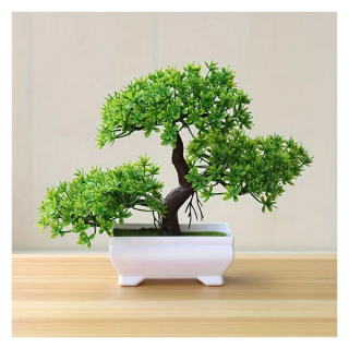 Mini bonsai fa PR610167
