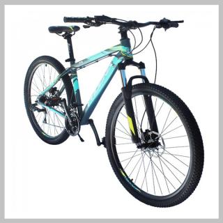 PHOENIX 29" MTB tárcsafék aluvázas ZTYE19S2901S