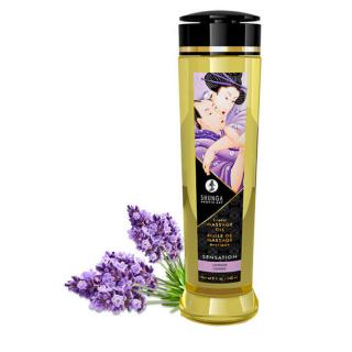 Shunga Erotic Massage Oil Lavender - erotikus masszázsolaj - levendula (240 ml)