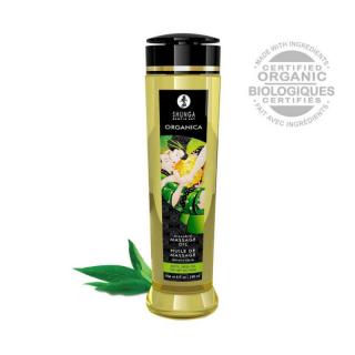 Shunga Massage Oil Green Tea - masszázsolaj - zöld tea (240 ml)