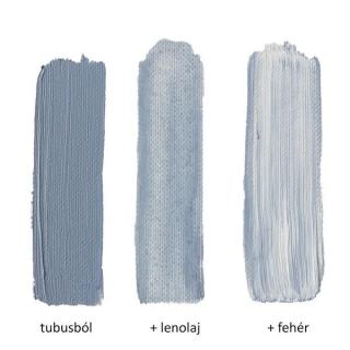 Pannoncolor  olajfesték 831-1 hidegszürke 80ml