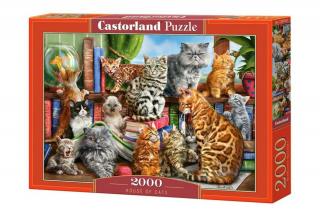 2000 db-os Puzzle - Macskák háza