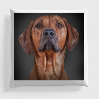Basic vizsla mintás párna, 45 x 45 cm