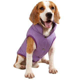 Bélelt kutyakabát, lila, XL-es (francia bulldog méret)