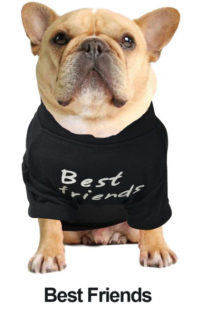 "Best friends" pamut kutyaruha, fekete - XL-es