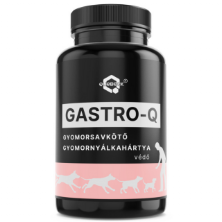 GASTRO-Q gyomorsavkötő, gyomornyálkahártya védő por, 50g
