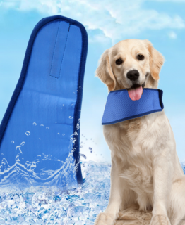 Hűsítő nyakpánt kutyáknak aktív hűtő géllel
