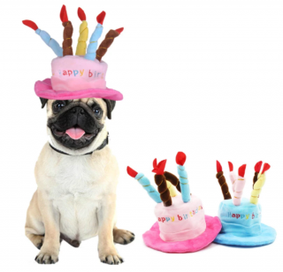 Születésnapi kutyafejfedő, állítható nyakrésszel