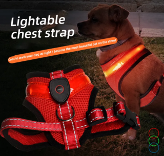 Világító éjszakai LED komfort kutyahám, piros, S