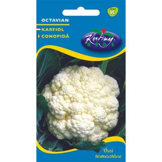 Rédei Kertimag Karfiol Octavian ( őszi ) 0,5 g