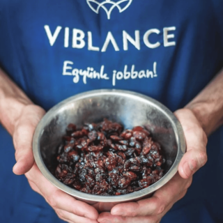 Viblance Aszalt vörösáfonya 1 kg