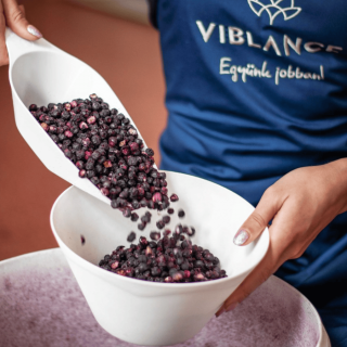 Viblance Liofilizált kékáfonya 1 kg