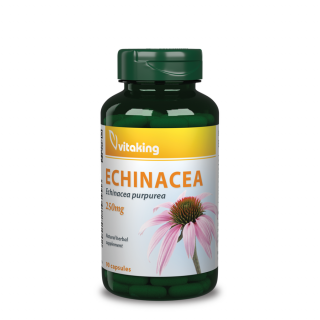 Vitaking Echinacea (Bíbor Kasvirág) Kivonat - 90 db