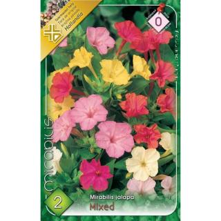 Mirabilis jalapa - Csodatölcsér (színkeverék)