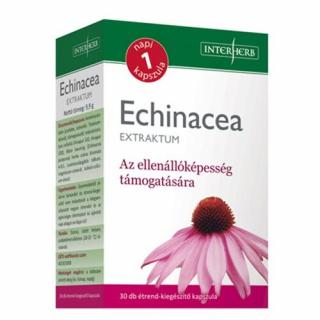 Napi 1 ECHINACEA kivonat 30db Interherb