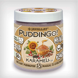 PuddinGo!® KARAMELL ízű instant pudingpor 300g