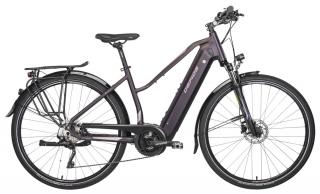 GEPIDA Alboin Curve TR XT 10 elektromos kerékpár (625Wh, matt sötétlila)