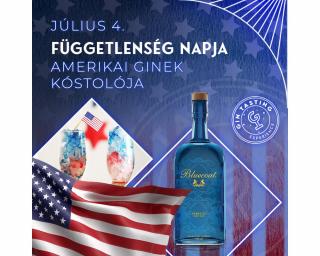 Függetlenség Napja Amerikai Ginek kóstolója július 4.