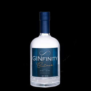 GINfinity Citrus Gin 0,5L 41%
