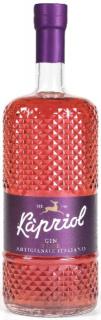 Kapriol Sloe gin - 0,7L (28,7%)