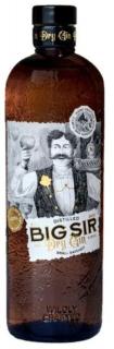 Kosteas Big Sir Gin 40% 0,7L