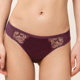 Triumph Freesia Florale Brazilian - Burgundy