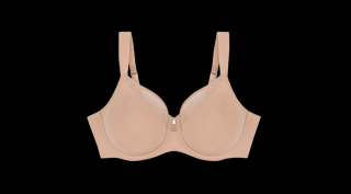 Triumph True Shape Sensation W01