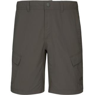 THE NORTH FACE M Horizon Cargo Short