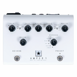 Blackstar Dept. 10 Amped 1