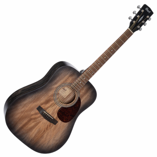Cort Earth60M OPTB