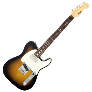 FGN Fujigen Neo Classic TE210 SH 2-Tone Sunburst