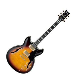 Ibanez JSM10-VYS jazzgitár