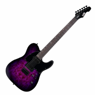 LTD TE-200DX PURPLE BURST